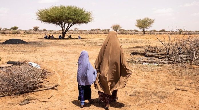 Food crisis as Kenya faces worst dryness in 45 years Food crisis as Kenya faces worst dryness in 45 years