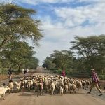 Meet the Kenyan teaching robotics to children in rural areas Meet the Kenyan teaching robotics to children in rural areas