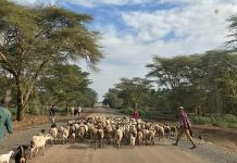 Meet the Kenyan teaching robotics to children in rural areas Meet the Kenyan teaching robotics to children in rural areas