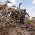 Drought in Kenya spreads beyond arid north Drought in Kenya spreads beyond arid north
