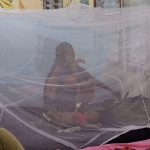 Gates Foundation Denies Role in Kenya Mosquito Surge Gates Foundation Denies Role in Kenya Mosquito Surge