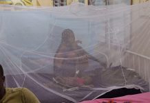 Gates Foundation Denies Role in Kenya Mosquito Surge Gates Foundation Denies Role in Kenya Mosquito Surge