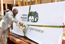 KWS Unveils First-Ever Strategy for Customer Experience KWS Unveils First-Ever Strategy for Customer Experience