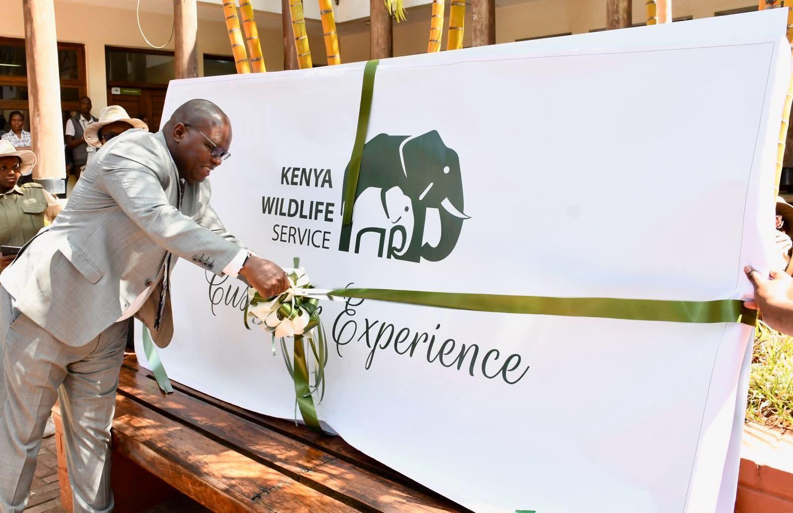 KWS Unveils First-Ever Strategy for Customer Experience KWS Unveils First-Ever Strategy for Customer Experience