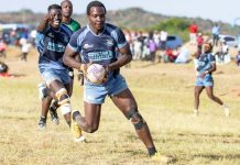 Bosire Praises Murwa as Daystar Falcons Win Over Quins Bosire Praises Murwa as Daystar Falcons Win Over Quins