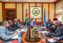 Kenya Advances Plans for First Nuclear Power Plant Kenya Advances Plans for First Nuclear Power Plant