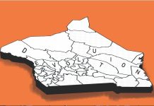 Defending Devolution to Avoid Severe Consequences Defending Devolution to Avoid Severe Consequences