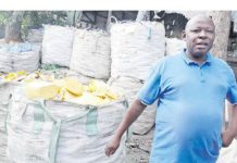 Nema in fresh push for strict e-waste rules for producers Nema in fresh push for strict e-waste rules for producers