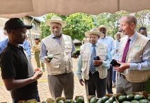 Kenya Aims for Sh650 Billion in Agricultural Exports Kenya Aims for Sh650 Billion in Agricultural Exports