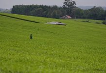 Mass Grave of 32 Bodies Including Children Discovered Mass Grave of 32 Bodies Including Children Discovered