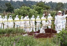 Bodies in Mass Graves Linked to Hospital Morgue Bodies in Mass Graves Linked to Hospital Morgue