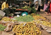 Kenya’S “Wastepreneurs” Turn Food Waste into Opportunity Kenya’S "Wastepreneurs" Turn Food Waste into Opportunity