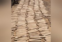 Police Seize 1,858 Bhang Rolls in Kwale Raid Police Seize 1,858 Bhang Rolls in Kwale Raid