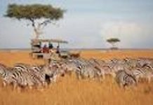 Kenya’s Tourism Revenue Hits Sh500 Billion in 2025 Kenya's Tourism Revenue Hits Sh500 Billion in 2025