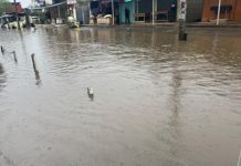 Kenya Flood Death Toll Reaches 112; NPS Issues Safety Alert Kenya Flood Death Toll Reaches 112; NPS Issues Safety Alert