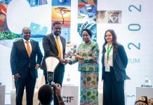 Comesa Secures 67% of Africa’s FDI, Reaching Sh84tn Comesa Secures 67% of Africa's FDI, Reaching Sh84tn