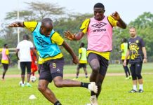 Mette’S Tusker Turning the Corner with Kapaito at the Core Mette’S Tusker Turning the Corner with Kapaito at the Core