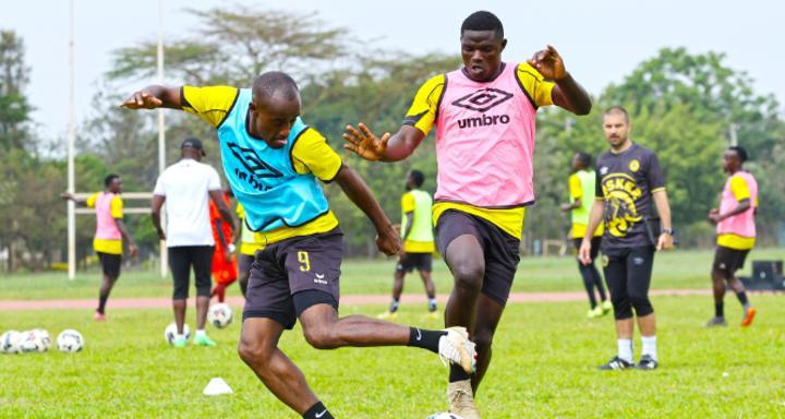 Mette’S Tusker Turning the Corner with Kapaito at the Core Mette’S Tusker Turning the Corner with Kapaito at the Core