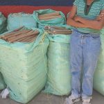 Kilifi Woman Charged with Trafficking Sh7.6M Cannabis Kilifi Woman Charged with Trafficking Sh7.6M Cannabis