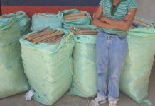 Kilifi Woman Charged with Trafficking Sh7.6M Cannabis Kilifi Woman Charged with Trafficking Sh7.6M Cannabis