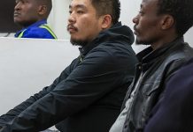 Chinese Man Gets One Year for Smuggling Ants from Kenya Chinese Man Gets One Year for Smuggling Ants from Kenya