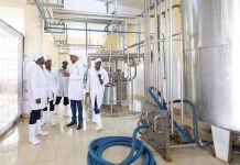 Ruto Delivers 10,000-Litre Milk Cooler to Murang’a Dairy Ruto Delivers 10,000-Litre Milk Cooler to Murang’a Dairy