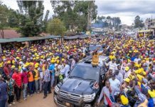 Ruto’s Slip of the Tongue Amuses Crowd at Gatanga Rally Ruto's Slip of the Tongue Amuses Crowd at Gatanga Rally