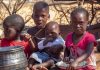 African Governments Urged to Tackle Fertilizer Shortages African Governments Urged to Tackle Fertilizer Shortages