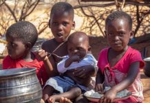 African Governments Urged to Tackle Fertilizer Shortages African Governments Urged to Tackle Fertilizer Shortages