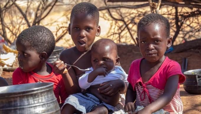 African Governments Urged to Tackle Fertilizer Shortages African Governments Urged to Tackle Fertilizer Shortages