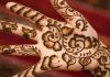 Henna, a plant with a thousand virtues Henna, a plant with a thousand virtues