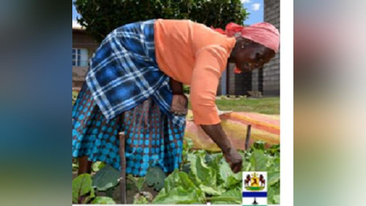 Evaluation of Asset Creation and Public Works Activities in Lesotho 2015-2019 (Final) - Decentralized Evaluation Report Evaluation of Asset Creation and Public Works Activities in Lesotho 2015-2019 (Final) - Decentralized Evaluation Report