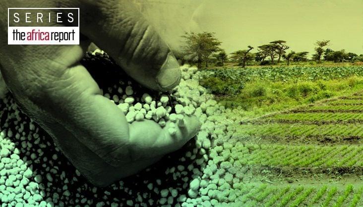 The Barons of the West African fertiliser trade The Barons of the West African fertiliser trade