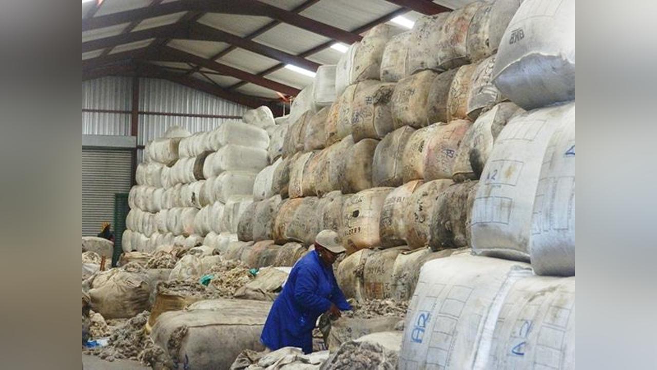 Mohair breaks selling record Mohair breaks selling record