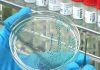 WHO confirms 1st human death from new bird flu strain WHO confirms 1st human death from new bird flu strain