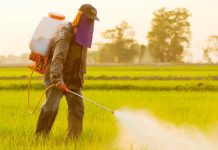 EU-Banned Pesticides Poisoning Africa’s Ecosystems EU-Banned Pesticides Poisoning Africa’s Ecosystems