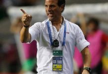 Paulo Duarte Named New Coach of Guinea’s Syli National Paulo Duarte Named New Coach of Guinea's Syli National