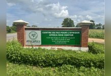 Growing Pains in African Rice Production and Demand Growing Pains in African Rice Production and Demand