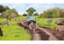 Luxury Tourism’s Dark Side in Africa’s Resorts Luxury Tourism's Dark Side in Africa's Resorts