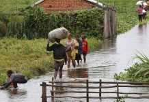 UN: global temperatures to stay high despite La Niña UN: global temperatures to stay high despite La Niña
