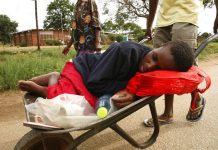 WHO: Cholera deaths up by 50% in 2024 WHO: Cholera deaths up by 50% in 2024
