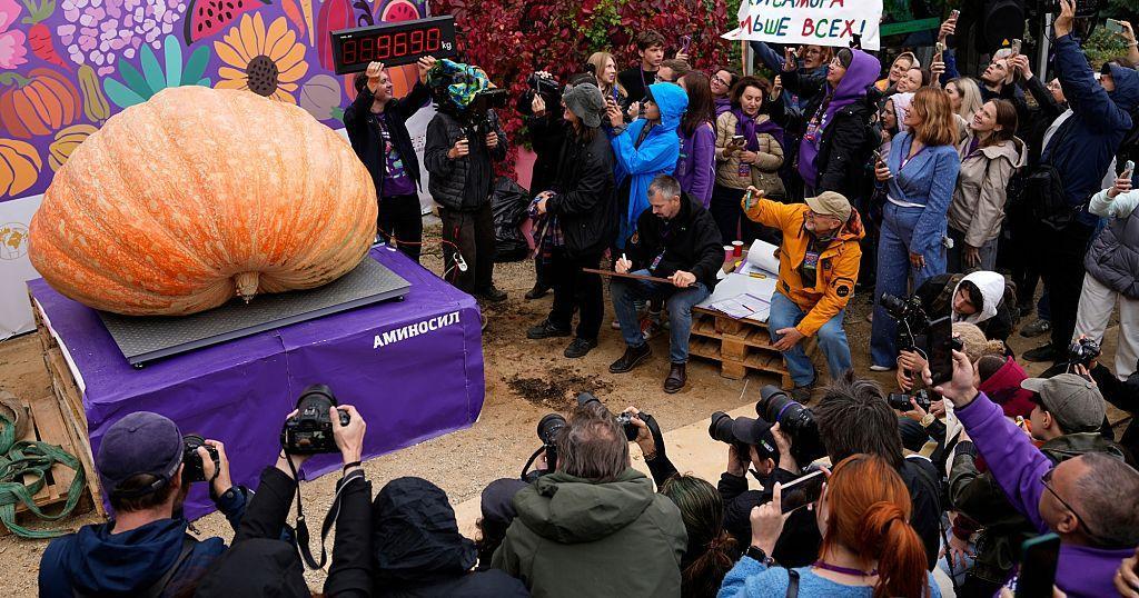 Russian Farmer Sets Record with 969 Kilo Pumpkin Russian Farmer Sets Record with 969 Kilo Pumpkin