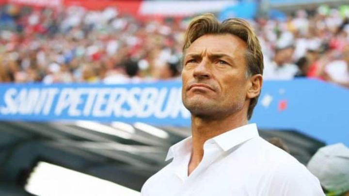 Hervé Renard Dreams of Returning to Africa Hervé Renard Dreams of Returning to Africa