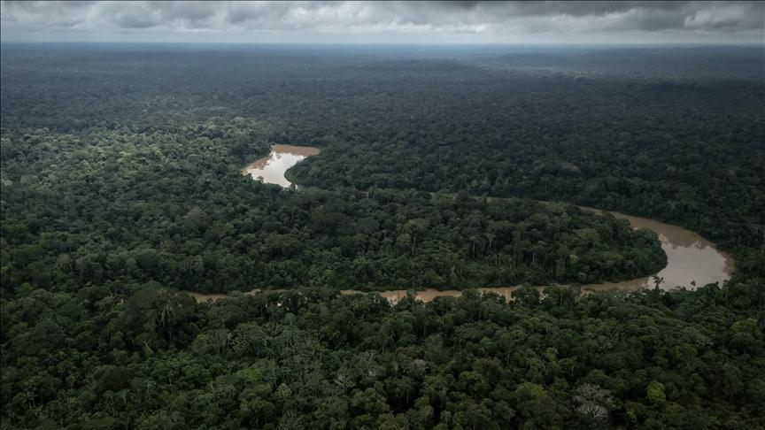 Amazon Fires Surpass Deforestation in Carbon Emissions Amazon Fires Surpass Deforestation in Carbon Emissions