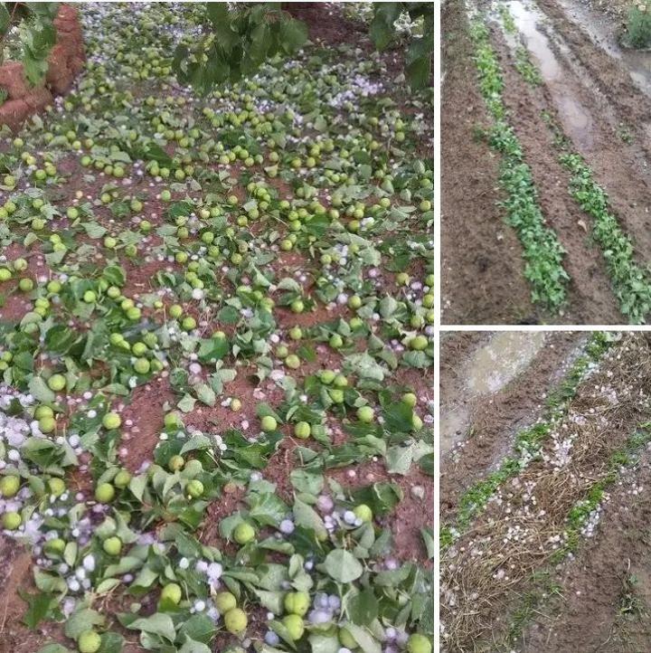 THE COUNTRY SHOULD EXPECT MORE HAIL – MOHALE THE COUNTRY SHOULD EXPECT MORE HAIL – MOHALE