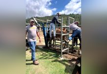 MILK ORGANISATION GIVES SUPPORT TO LOCAL FARMERS MILK ORGANISATION GIVES SUPPORT TO LOCAL FARMERS