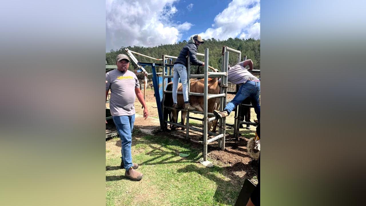 MILK ORGANISATION GIVES SUPPORT TO LOCAL FARMERS MILK ORGANISATION GIVES SUPPORT TO LOCAL FARMERS