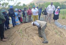 SHAABE APPRECIATES WORKING WITH VISIONARY PEOPLE SHAABE APPRECIATES WORKING WITH VISIONARY PEOPLE