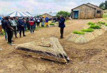 SCHOOL GARDENS CAMPAIGN LAUNCHED TO PROMOTE FOOD PRODUCTION SCHOOL GARDENS CAMPAIGN LAUNCHED TO PROMOTE FOOD PRODUCTION