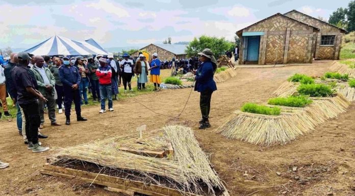 SCHOOL GARDENS CAMPAIGN LAUNCHED TO PROMOTE FOOD PRODUCTION SCHOOL GARDENS CAMPAIGN LAUNCHED TO PROMOTE FOOD PRODUCTION